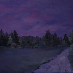 Nachtstimmung am Waldweg